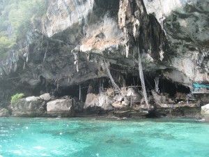 IMG_6916