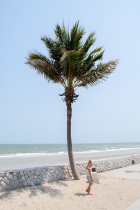 SONY DSC