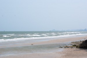 SONY DSC