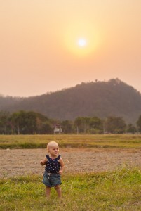 SONY DSC