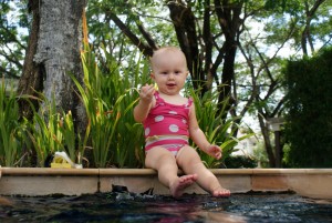SONY DSC