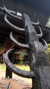 chiangrai_IMG_20150716_132442